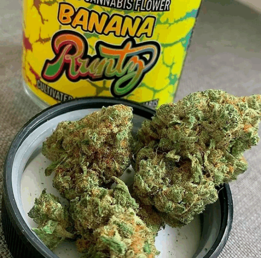 How Many Different Strains of Runtz Are There